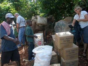 Unloading_donkeys